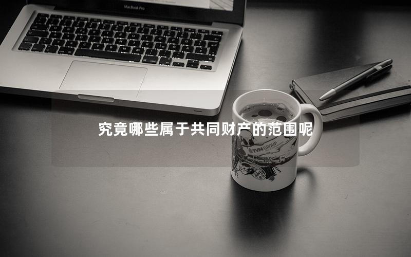 究竟哪些属于共同财产的范围呢