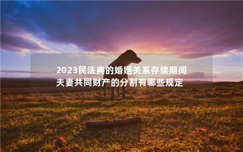 2023民法典的婚姻关系存续期间夫妻共同财产的分割有哪些规定