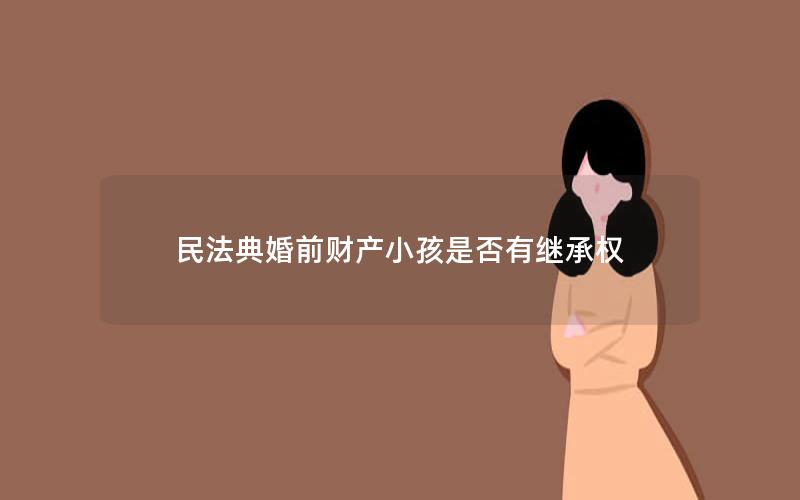 民法典婚前财产小孩是否有继承权