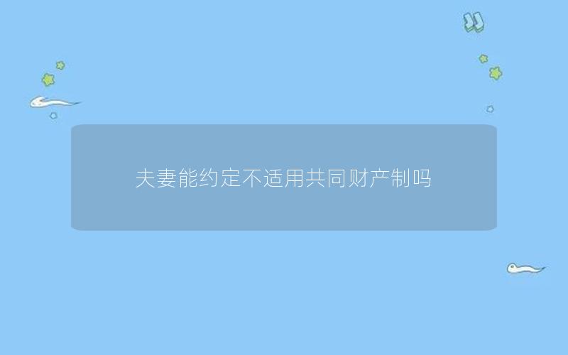 夫妻能约定不适用共同财产制吗