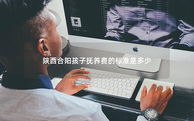 陕西合阳孩子抚养费的标准是多少